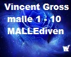 Vincent Gross Mallediven