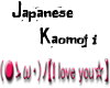 Japanese Kaomoji(Love y)