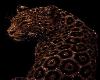 Panthera v2