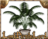 [LPL] Large house Plant
