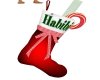 stocking  Habibi