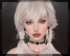 + Elciette Sakura