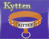 -K- Kitten Orange Collar