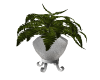 Silver Potted plant