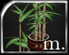 =M=::Sanguine Bamboo