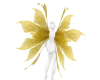 GOLD wings