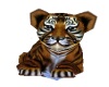Realistic Tiger Baby