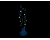Azzurri Bamboo Plant