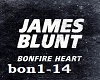 bonfire heart