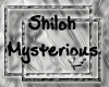 [Ru] Mysterious Shiloh