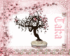 Sakura Sitting Tree