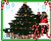 *M* Christmas Tree+pose