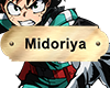 Midoriya Name Plate