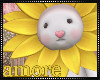 Amore Happy Easter!