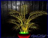 ~VixD~Reggae Plant