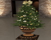 Christmas Topiary 2