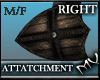 (MV) M/F -Right Shield 2