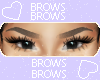 bLite brows T1 Ɛ>