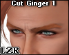 Cut Ginger 1