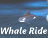 Whale Ride