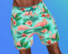 Tropics Swim Shorts