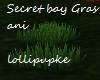 secret bay Gras ani
