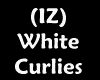 (IZ) Curlies White