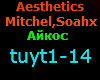 Aesthetics  Mitchel