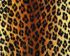 papillon leopard
