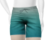 Ombre Aqua Shorts M
