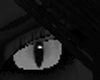 [DJ]Cat Eyes Grey F