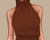 Brown Sweater Turtleneck
