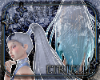Shiva Ponytail Anim. DRV