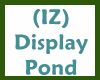 (IZ) Display Pond