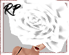 *RP* #TimesUp Rose Head