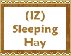 (IZ) Sleeping Hay