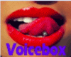 (S) Voice Box Sysy
