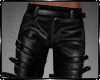 SIN Leather Pants