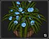 Flower Barrel  -3-