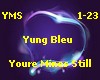 Yung Bleu - Youre Mines.