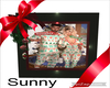*SW* S n S X-Mas Pic
