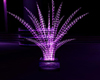 [6SR] Purple Palm Plant