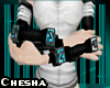 [!] Chesha's Arm Weapons