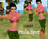 HAWAII HULA Dance Spot