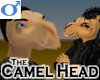 Camel Head -Mens