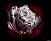{Ang}Black Handheld Rose