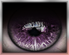 Purple Shine Eyes