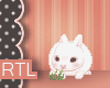 R| Cute Bunny-1