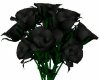 JR Elegant Black Roses