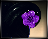 .:Lo:. Purple Rose Horns